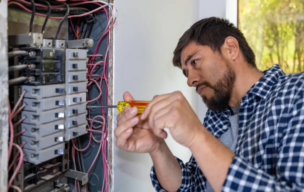 Best Electrical Upgrades for Homes  in Mcalmont, AR
